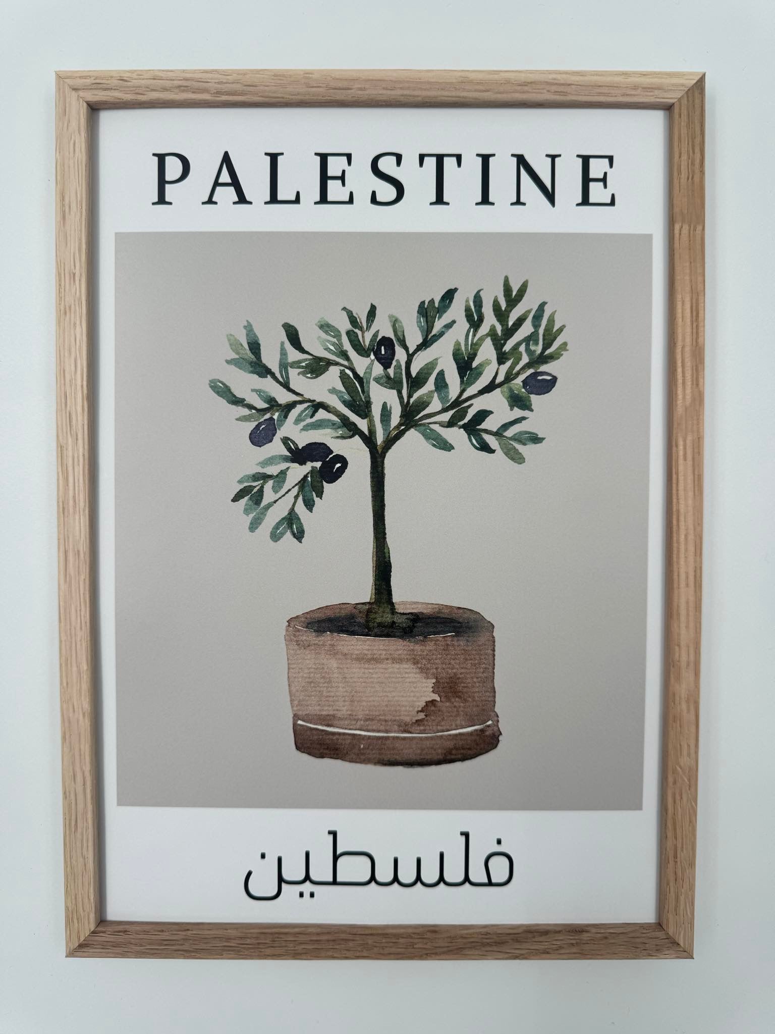 Zaytoun-Baum