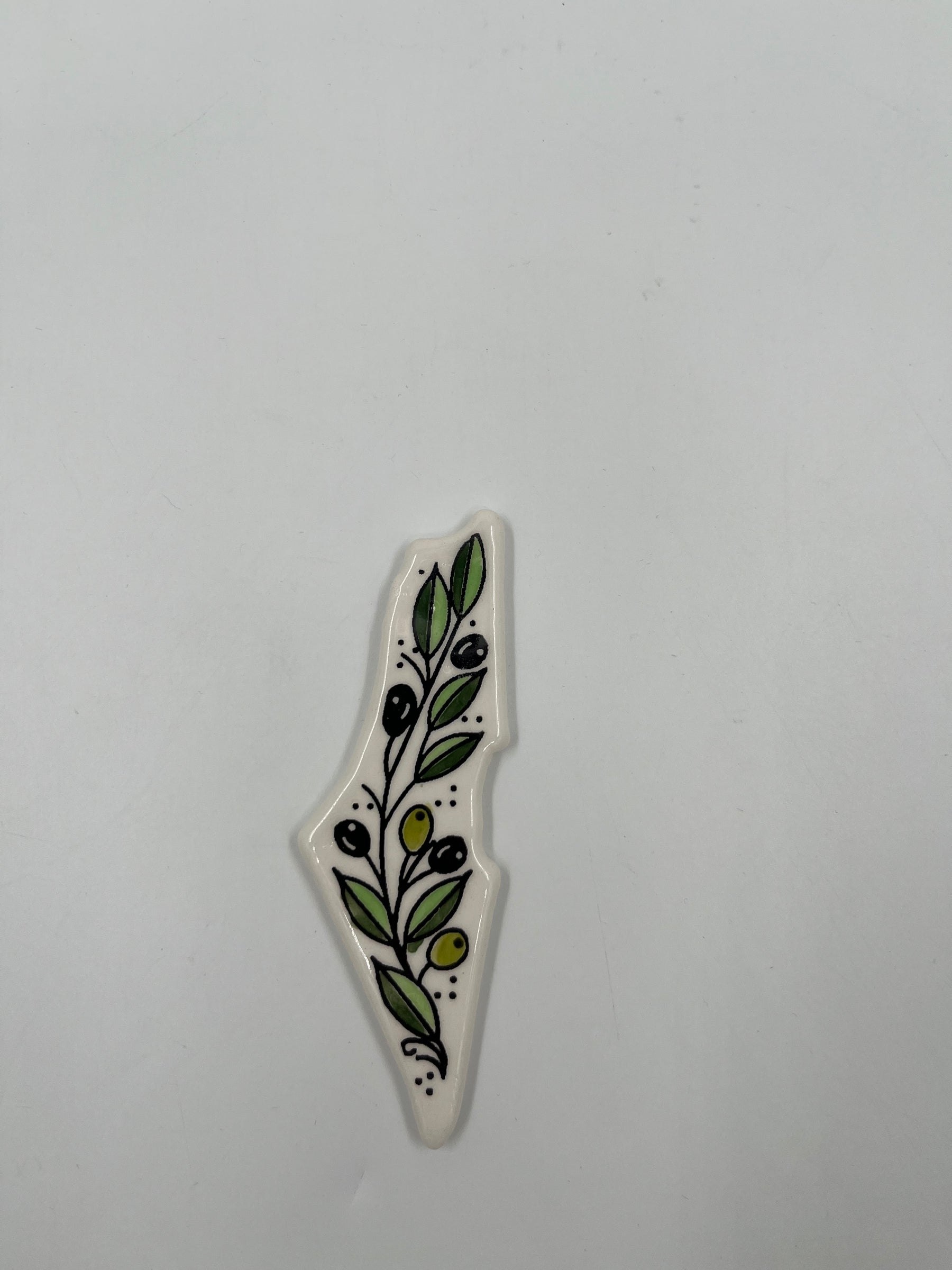 Palestine magnets