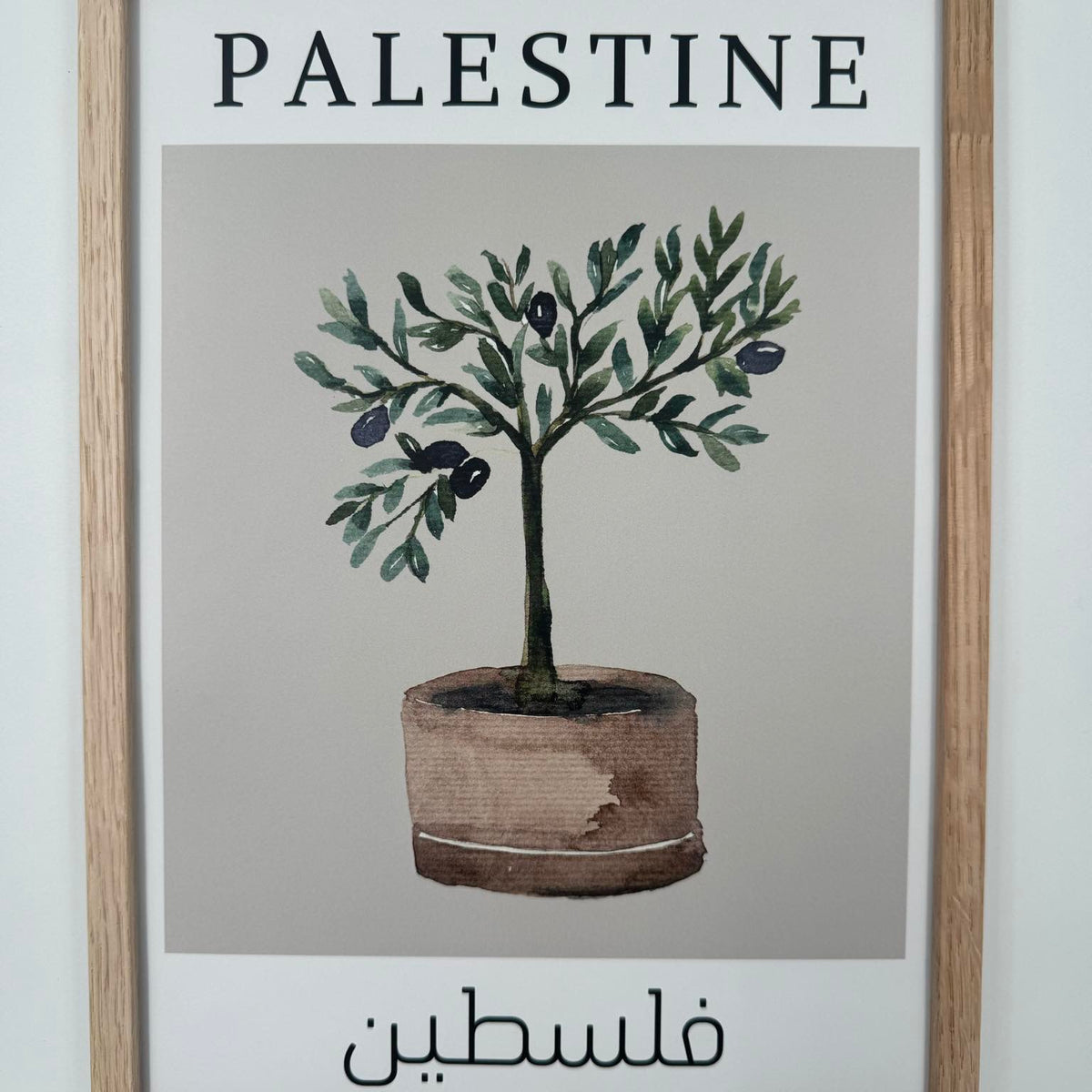 Zaytoun-Baum